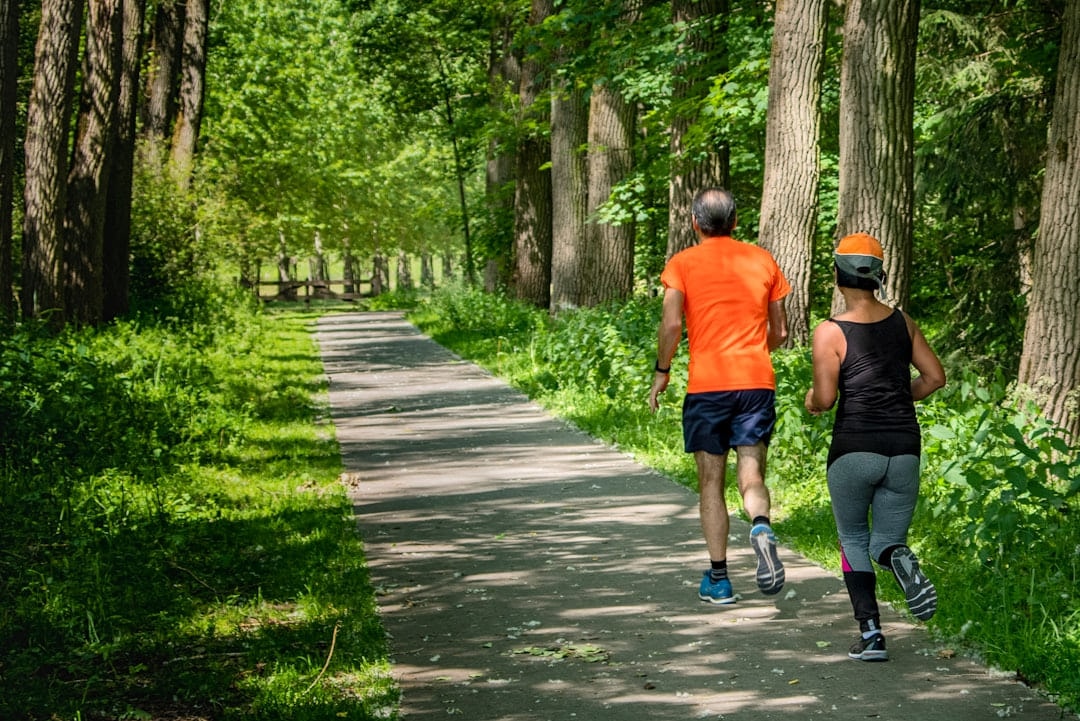 Two runners on a tarmac path through an avenue of trees in summer