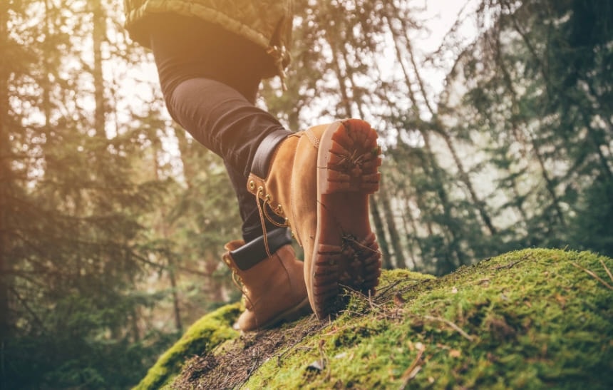 A pair of walking boots on a moss-covered rock in woodland
