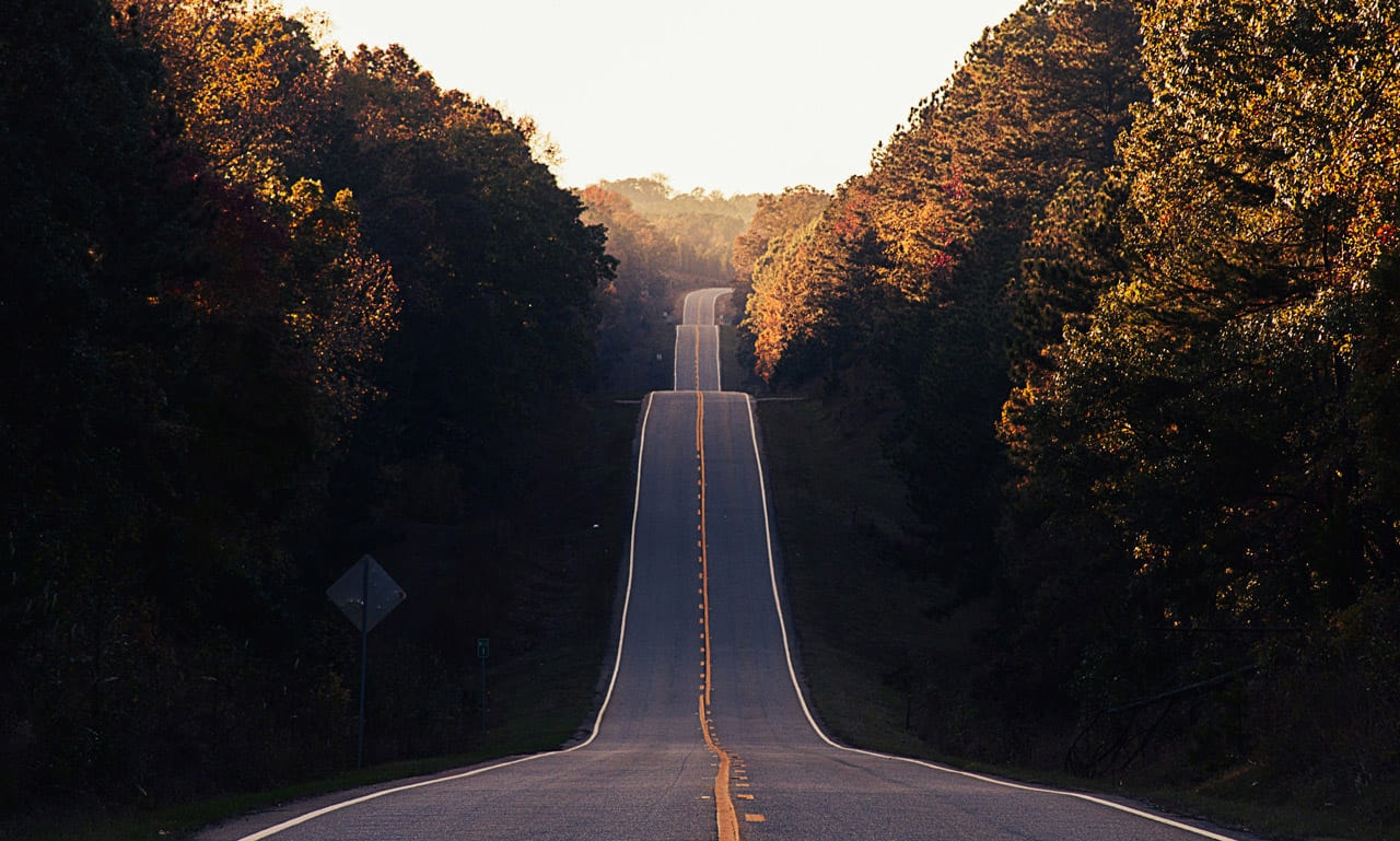 An empty road running straight ahead through trees in autumn