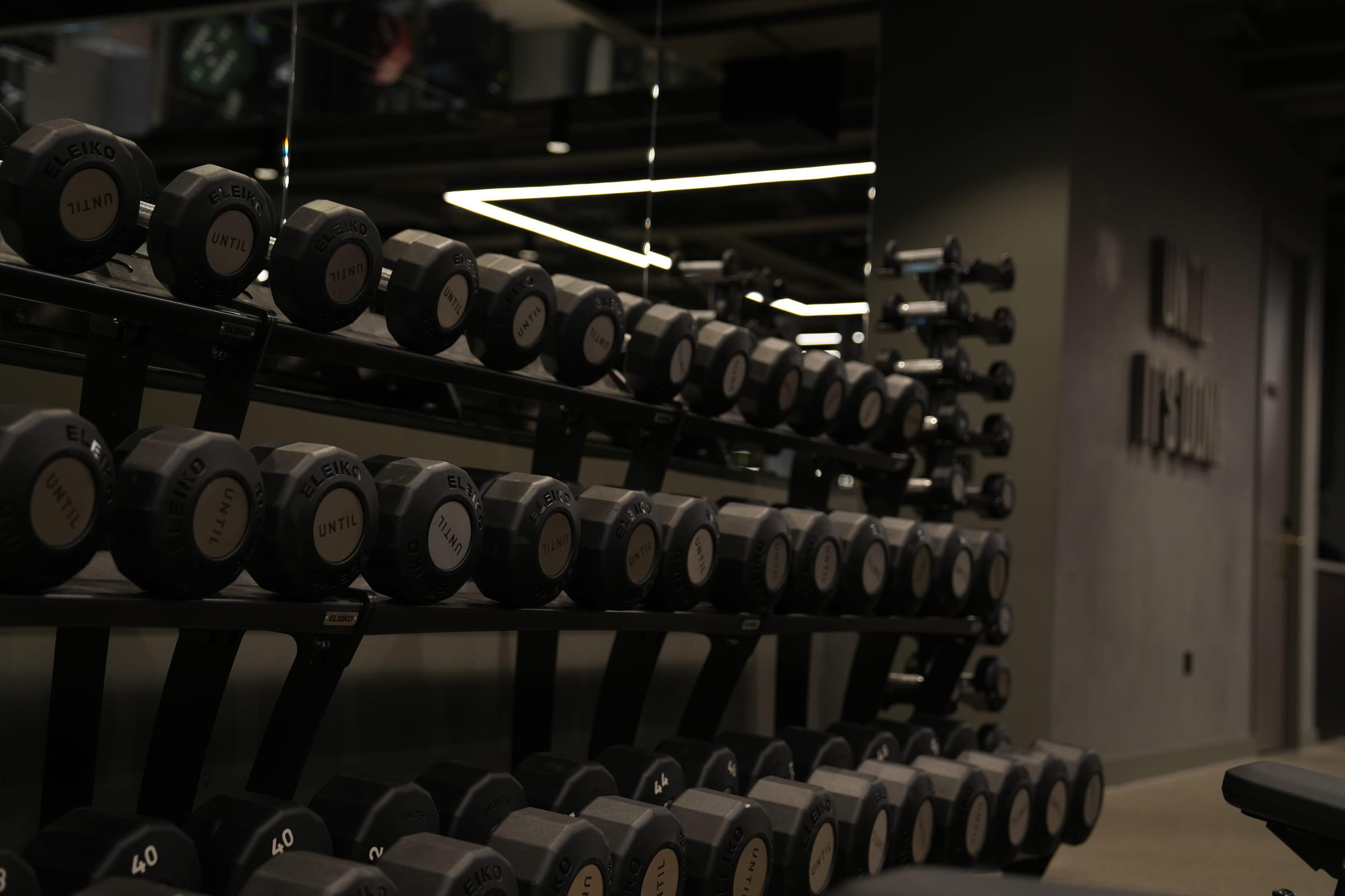 Racked Eleiko dumbbells along the wall of the studio's training floor